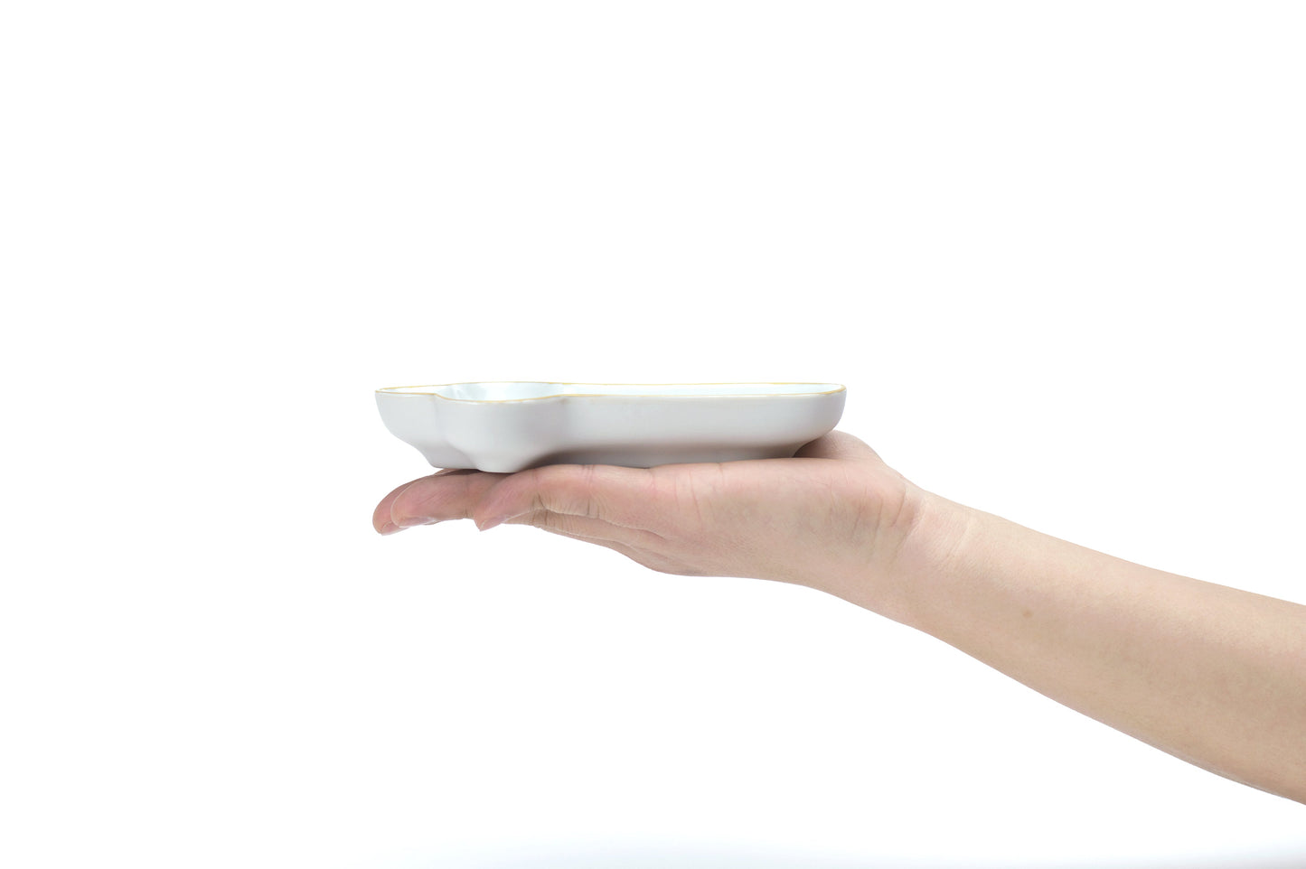 FORMA 向付 鼻型/funny plate NOSE